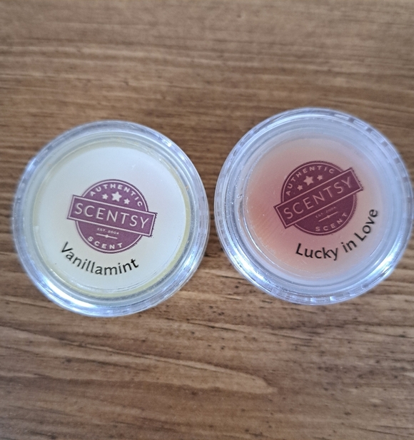 Scentsy Tester Lot 12 Testers Various Scents Wax 2 Sizes Small Large Samples - Picture 2 of 8